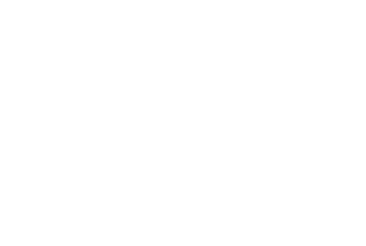 Bluesound Logo weiss